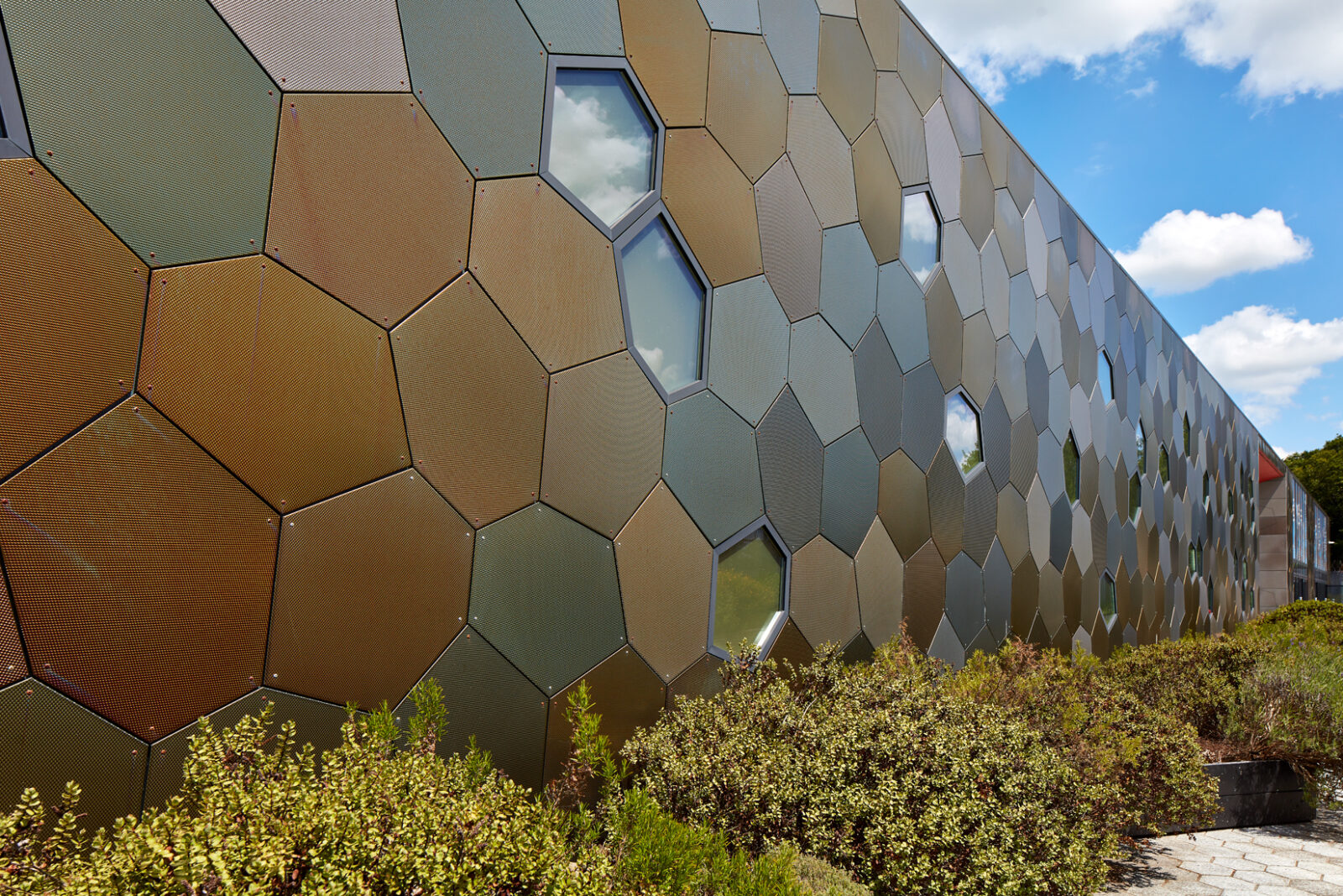 The Royal Mint Experience Rio Architects